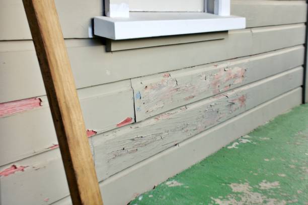 Best Historical Building Siding Restoration  in Slinger, WI